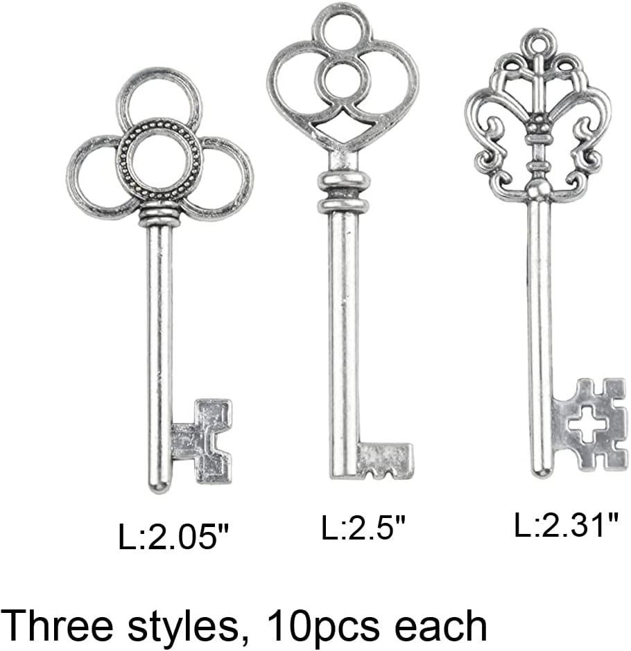 Set 30 Llaves Esqueleto Grandes