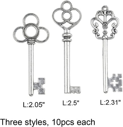Set 30 Llaves Esqueleto Grandes