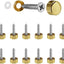 Tornillos espejo latón macizo oro brillante 12 pzas