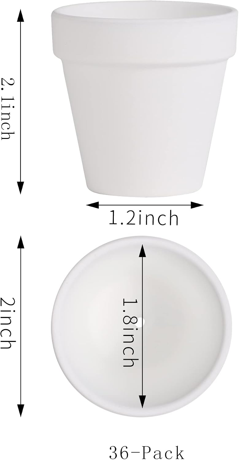 Macetas terracota blancas 2pulg con drenaje para suculentas