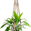 Colgador plantas macramé soporte decoración bohemia