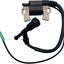 Bobina encendido motor Kohler CH395 ensamblaje CDI