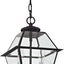 Linterna colgante exterior 2 luces color negro 15x9x9"