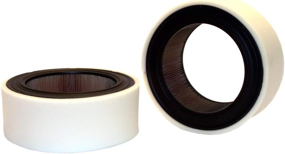 Filtro aire con envoltura 46200