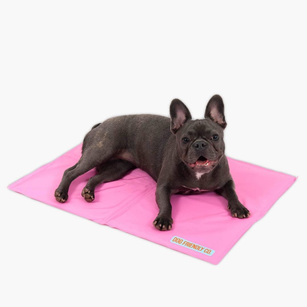 Tapete refrescante perro verano gel no tóxico rosa talla L