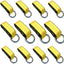 12 Correas Lazo 2" x8ft Anillo D para Vehículo