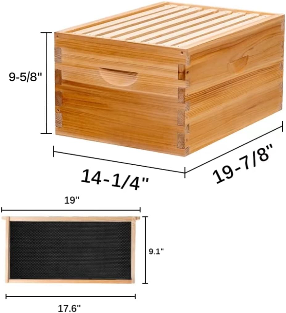 Caja colmena 8 marcos Langstroth encerados sin montar