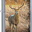 Encendedor Field Street Chrome 80701