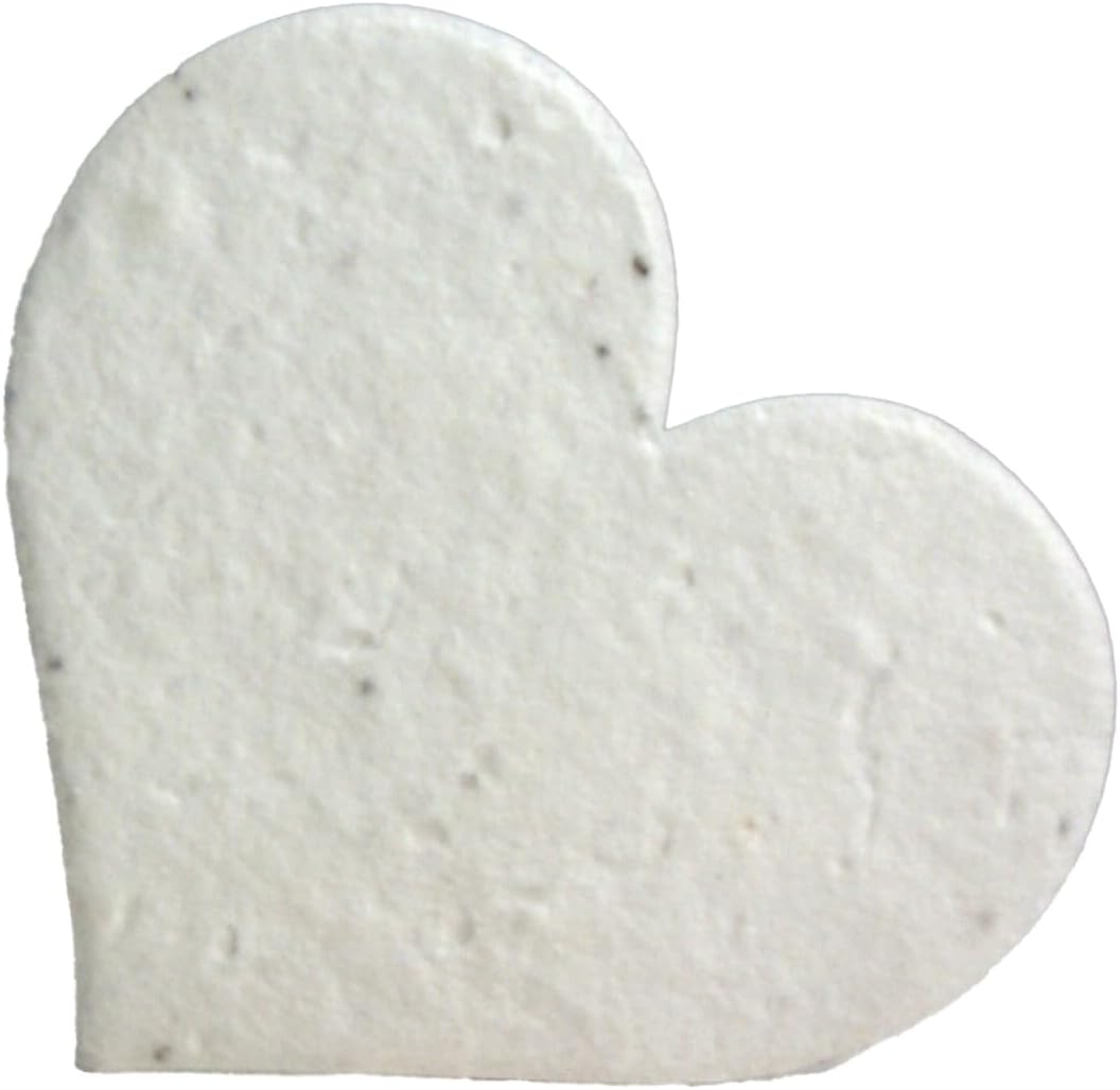 Set 100 pétalos flores reciclados corazones grandes blanco