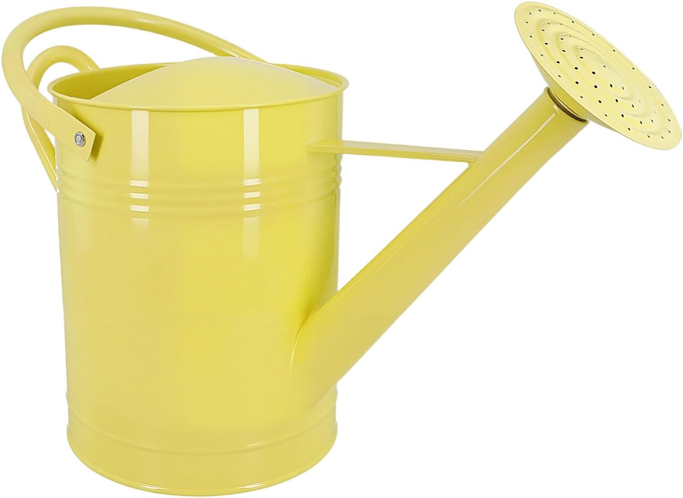 Regadera hierro galvanizado boquilla larga 6.44L beige