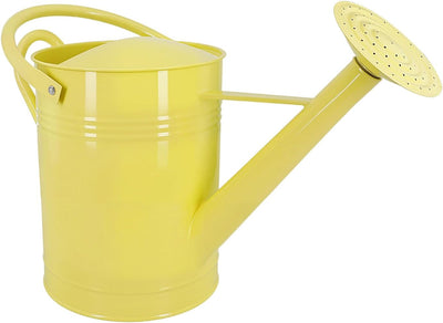 Regadera hierro galvanizado boquilla larga 6.44L beige