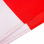 Bandera Irán histórica poliéster 3x5ft león