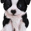 Regalo Border Collie Puppy 675