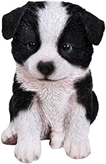 Regalo Border Collie Puppy 675
