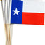 Banderas Texas con poste madera 12 Pzas