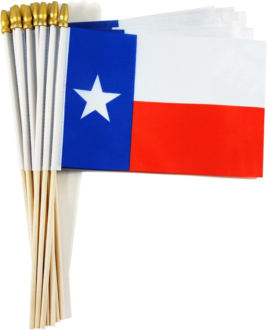 Banderas Texas con poste madera 12 Pzas