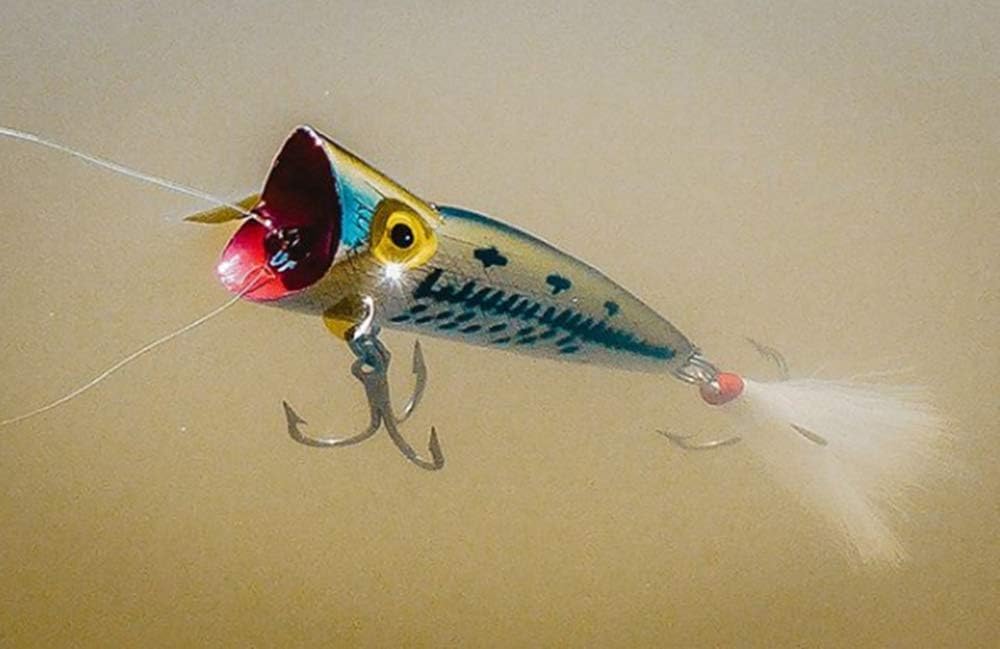 Señuelo Pop-R Topwater Popper talla única
