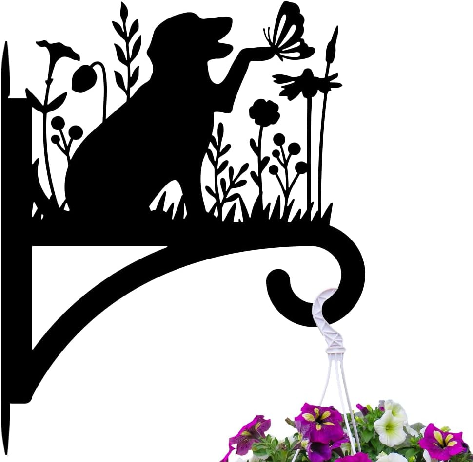 Soportes colgantes hierro para plantas helechos