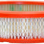Repuesto filtro aire motor Extra Guard para Ford Honda Mazda