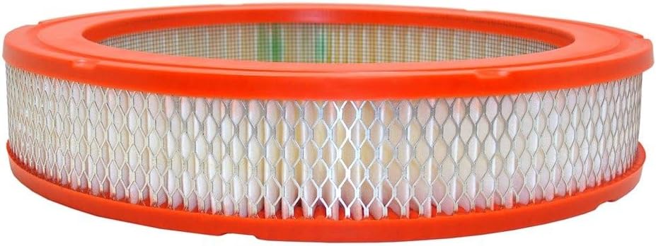 Repuesto filtro aire motor Extra Guard para Ford Honda Mazda