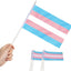 Bandera trans 5x8pulg set 12 resistentes decoloración
