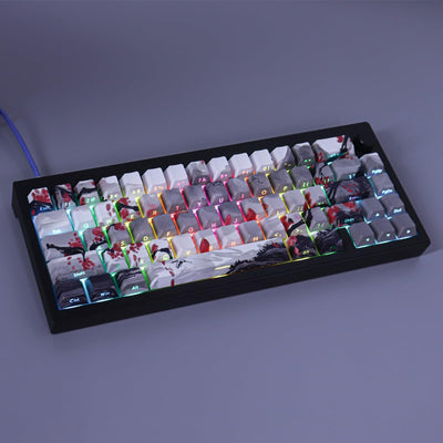 Juego teclas Cherry MX doble disparo 135 pzas perfil cereza