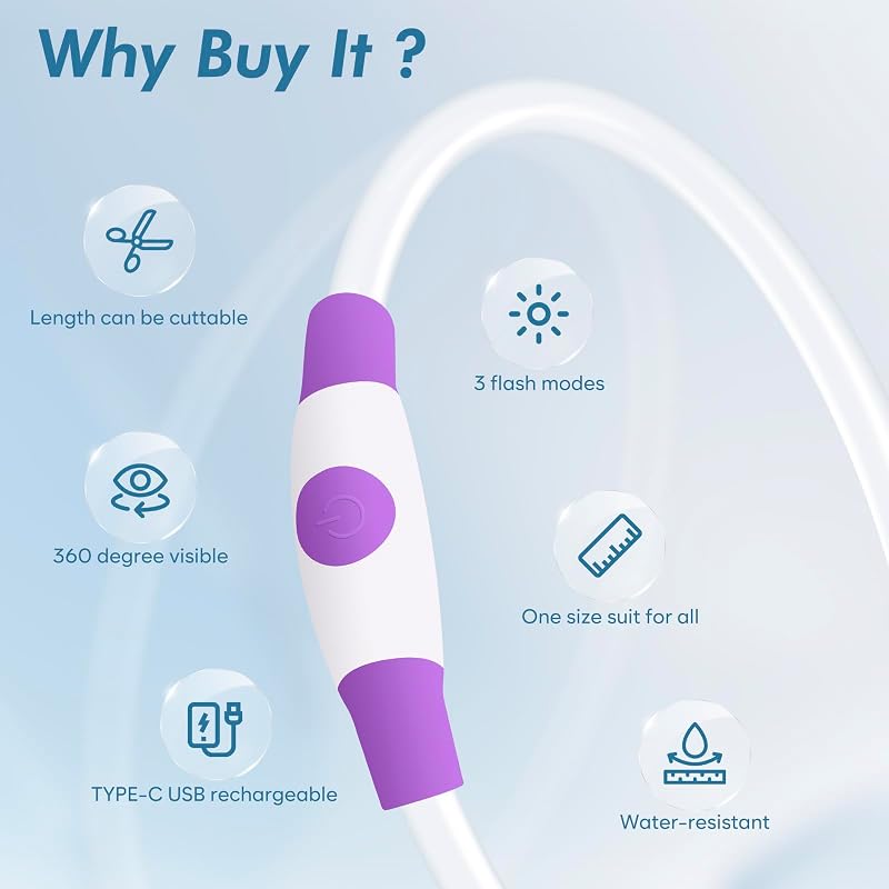 Collar perro led recargable impermeable TPU 70cm morado