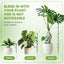 Estacas soporte plantas trepadoras 10" 10uds