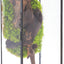 Terrario cristal 3.9x3.9x11.8pulg con puerta para helechos