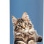 Bebida para gatos Maine Coon de acero inoxidable aislada