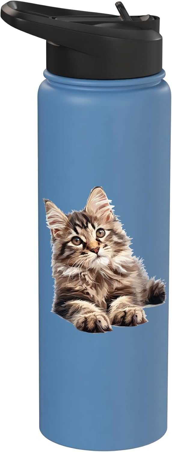 Bebida para gatos Maine Coon de acero inoxidable aislada