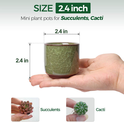 Macetas cerámica suculentas 2.5" set 6 con drenaje