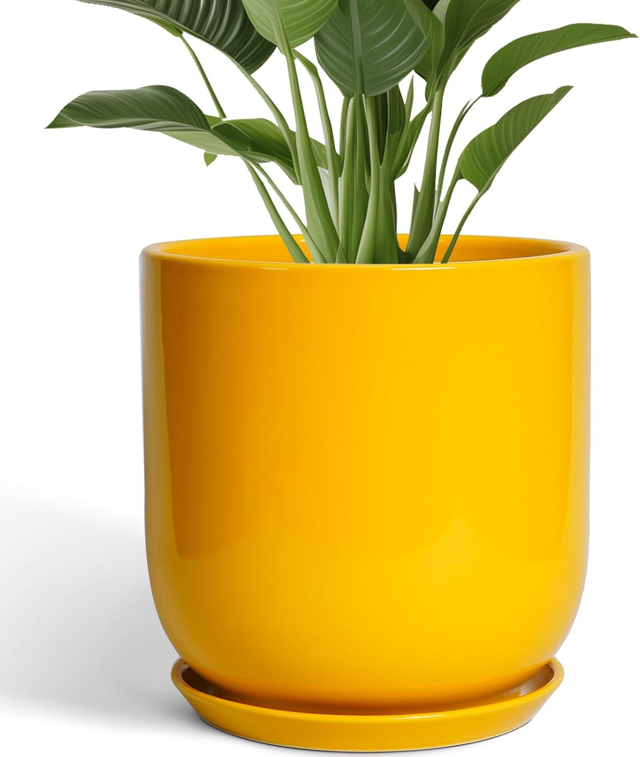 Maceta cerámica 12" para plantas con drenaje amarillo