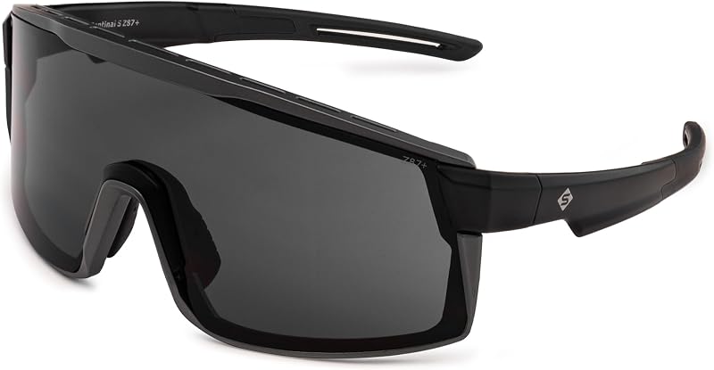 Gafas seguridad The Sentinal