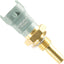 Sensor temperatura refrigerante motor TS10253