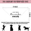 Bandana para perros anuncio embarazo revelación género