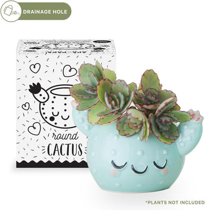 Maceta Cerámica Smiley Cactus 3x4pulg Interior Exterior