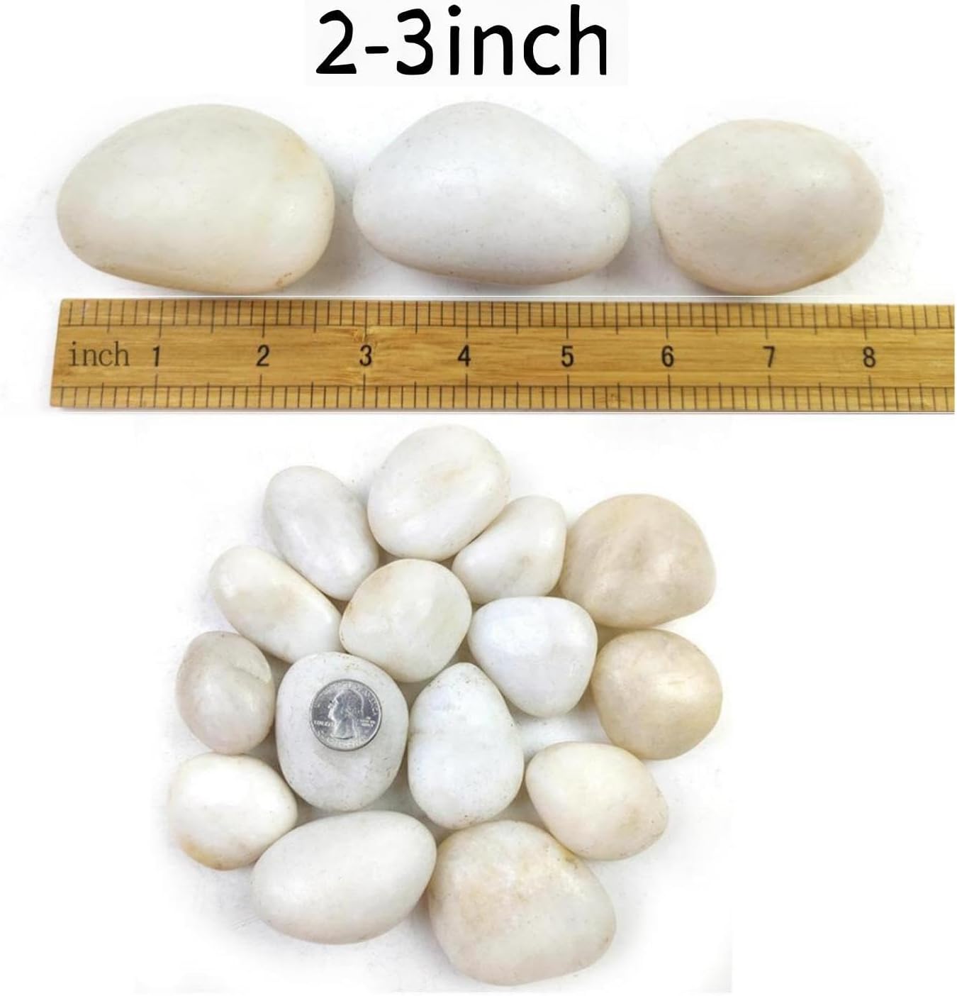 Rocas blancas de río 5lb 2-3" decorativas para paisajismo