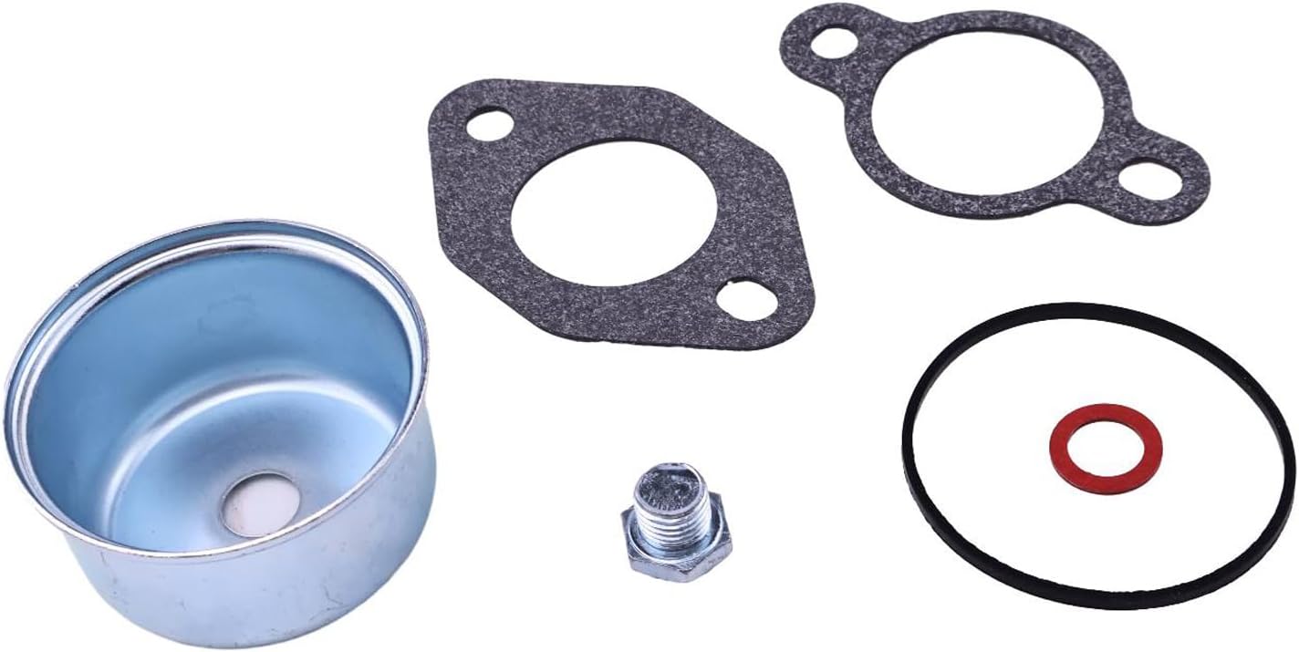 Kit reparación cuenco combustible comp Kohler CH