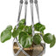 Colgador macramé para plantas 41pulg color gris