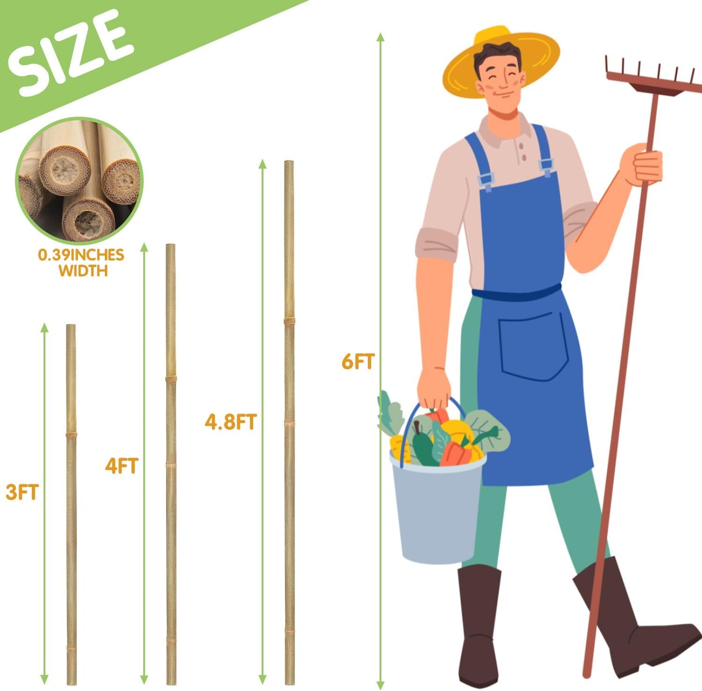 Estacas bambú 20 pzas 4.8ft para tomate vegetales
