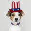Collar perro patriótico con bandera 4 de julio ajustable