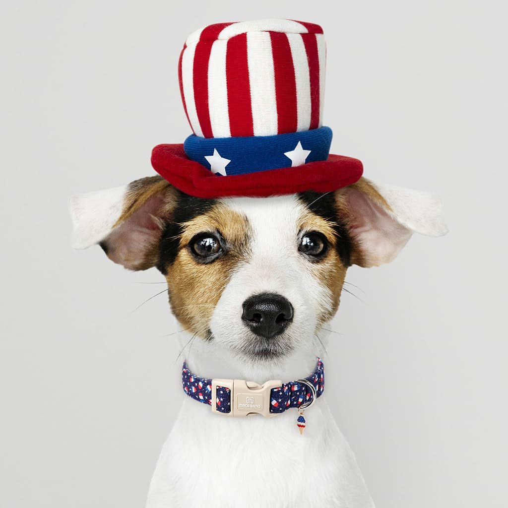 Collar perro patriótico con bandera 4 de julio ajustable