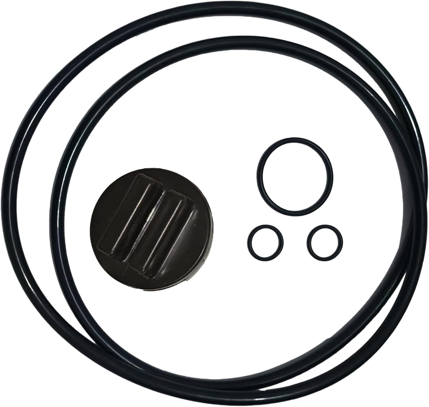 Kit reparación junta tórica CCX1000G compat filtros piscina