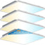 Lámpara Troffer LED 2x2ft 40W 5CCT regulable IP42