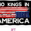 Bandera doble cara No Kings In America 2x3ft poliéster