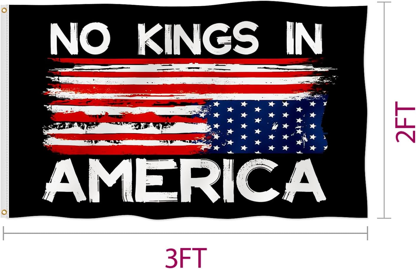 Bandera doble cara No Kings In America 2x3ft poliéster