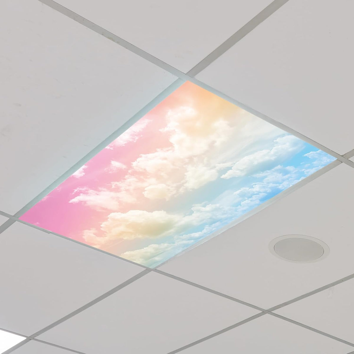 10 Pzas Cubierta Luz Fluorescente con 10 Imanes 2x4pies