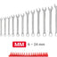 Set llaves combinadas 19 pzas 6-24mm con organiz.