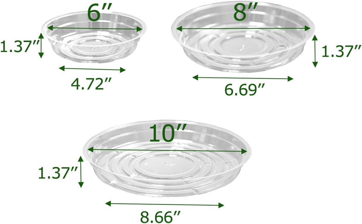 15 Platillos Transparentes 6-10" para Macetas